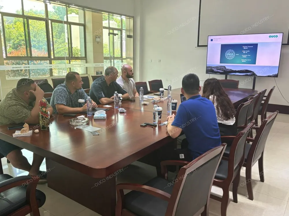 Discussion in the meeting room
