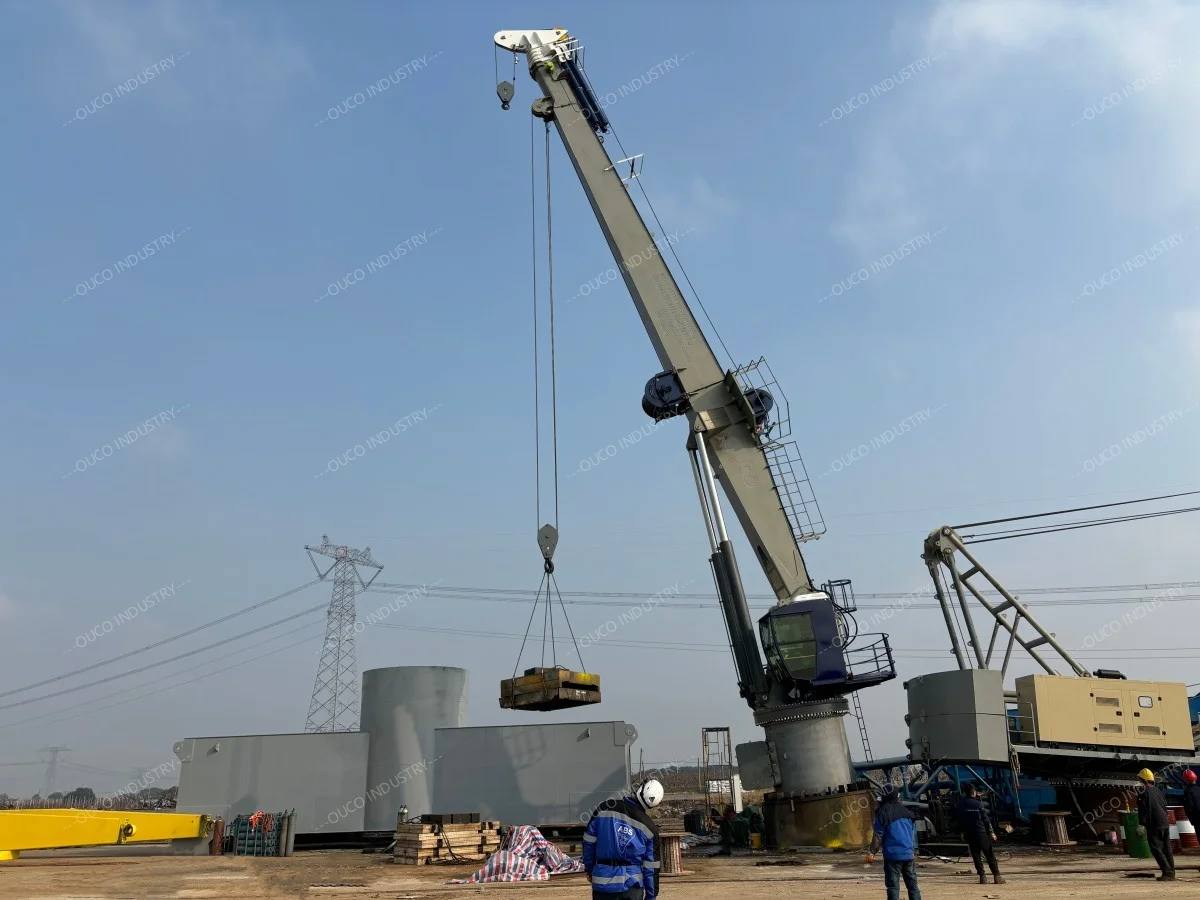 3t40m crane FAT test