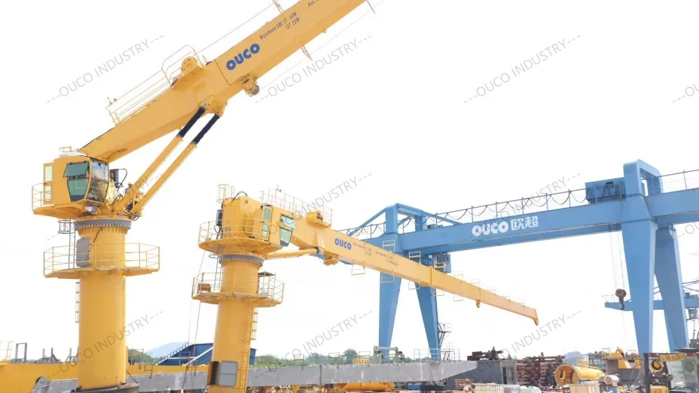 OUCO-5T40M-SB crane FAT Test (2)