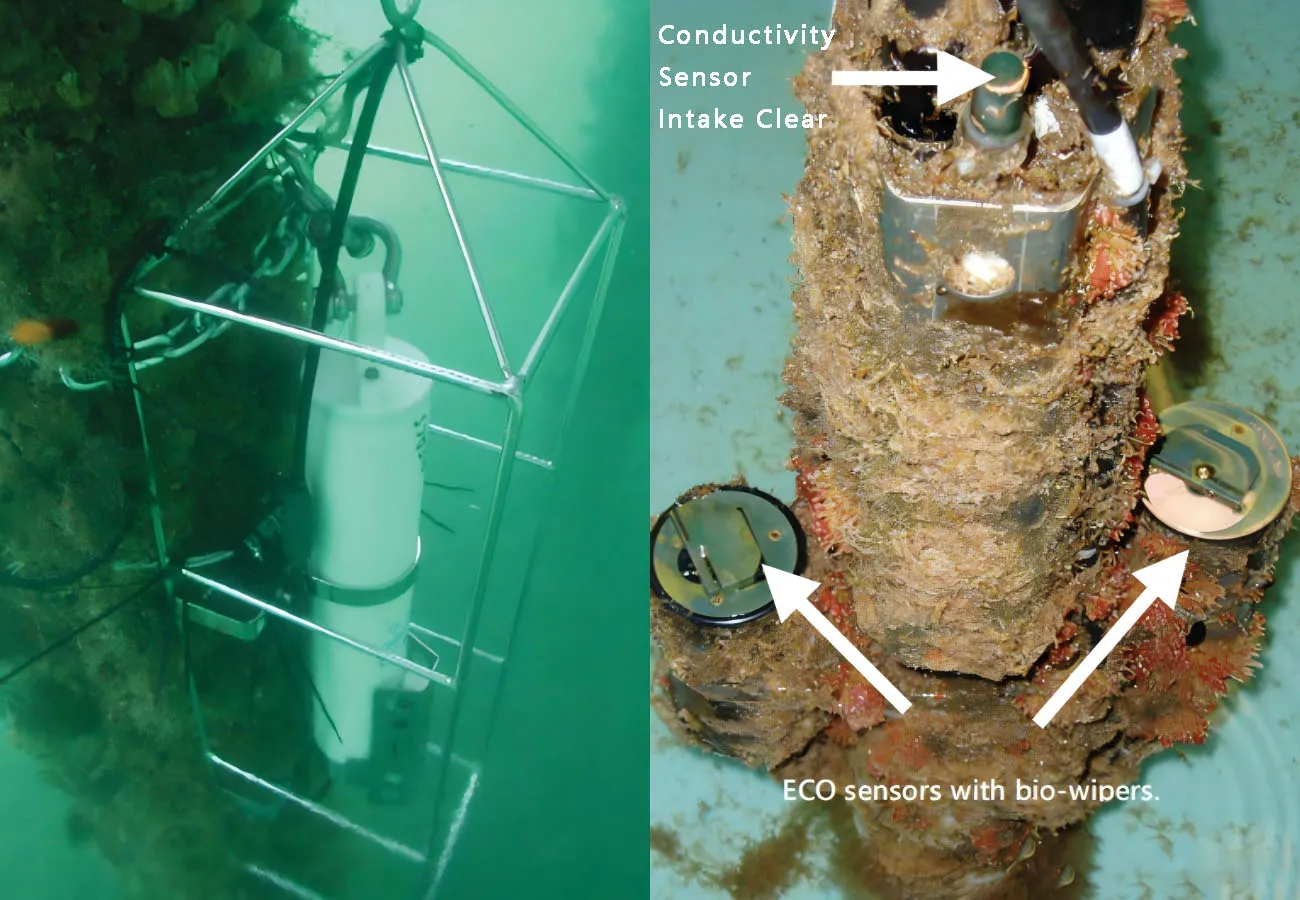 Biofouling in Fixed Moored CTD Instruments